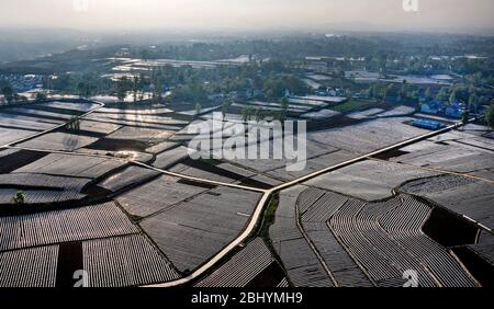 Comté de Luonan. 27 avril 2020. La photo aérienne prise le 27 avril 2020 montre les champs de poivre et de tabac couverts par le paillis en plastique dans le canton de Yongfeng, dans le comté de Luonan, dans le nord-ouest de la province de Shaanxi en Chine. Crédit: Tao Ming/Xinhua/Alay Live News Banque D'Images