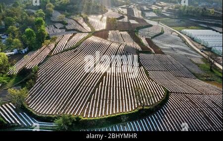 Comté de Luonan. 27 avril 2020. La photo aérienne prise le 27 avril 2020 montre les champs de poivre et de tabac couverts par le paillis en plastique dans le canton de Shimen dans le comté de Luonan, dans le nord-ouest de la province de Shaanxi en Chine. Crédit: Tao Ming/Xinhua/Alay Live News Banque D'Images