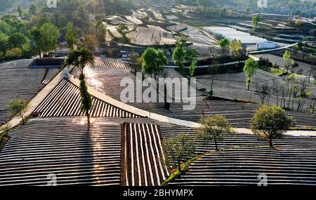 Comté de Luonan. 27 avril 2020. La photo aérienne prise le 27 avril 2020 montre les champs de poivre et de tabac couverts par le paillis en plastique dans le canton de Shimen dans le comté de Luonan, dans le nord-ouest de la province de Shaanxi en Chine. Crédit: Tao Ming/Xinhua/Alay Live News Banque D'Images