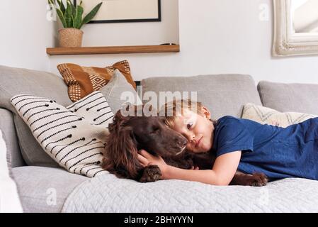 Garçon allongé sur un canapé avec chien de compagnie regardant l'appareil photo. Banque D'Images