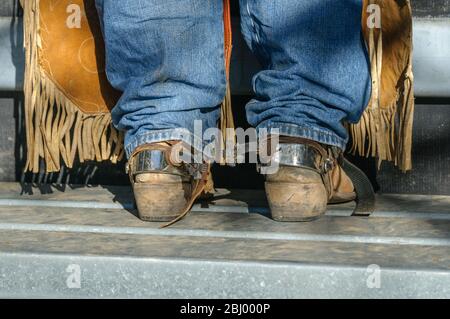 Les jambes du rodéo avec des jeans, des chaps, des bottes et des éperons au sommet de la palforme sur l'un des goujures, prêt à faire sa promenade à Mareeba en Australie. Banque D'Images