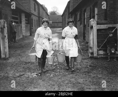 Girls on national service on the Duke of Westminsters Estate at Eaton Park , Chester - 17 novembre 1917 Banque D'Images