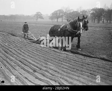 Soldat handicapé au service national sur le domaine du duc de Westminster au parc Eaton, Chester - 17 novembre 1917 Banque D'Images