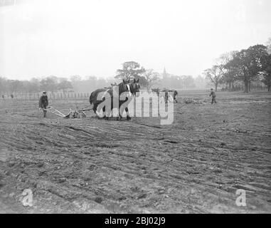 Des filles et des soldats handicapés au service national sur le domaine du duc de Westminster au parc Eaton, Chester - 17 novembre 1917 Banque D'Images