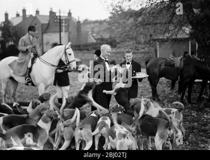 R A Dragchase . Capitaine Bolton avec les limites . Tandis que les serveurs fournissent des tidbits pour les hounds . - 25 octobre 1937 Banque D'Images