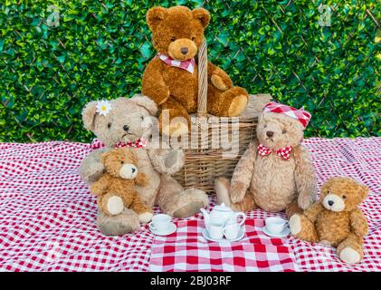 Pique-nique de Teddy Bear. Cinq ours en peluche qui pique-niquent dans le jardin avec un tissu de table Vichy rouge et blanc et des teacups blancs en chine. Concept: Heureux Banque D'Images