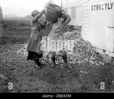 Vieux fours à houblon utilisés dans une nouvelle industrie de village dans le kent - une usine de séchage de légumes a été organisée par le ministère de la nourriture, où les femmes sont enseignées à sécher toutes sortes de légumes en cas de tout merde pendant le printemps prochain. - 2 février 1918 Banque D'Images