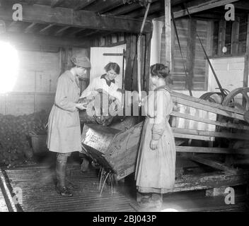 Vieux fours à houblon utilisés dans une nouvelle industrie de village dans le kent - une usine de séchage de légumes a été organisée par le ministère de la nourriture, où les femmes sont enseignées à sécher toutes sortes de légumes en cas de pénurie au printemps prochain. - 2 février 1918 Banque D'Images