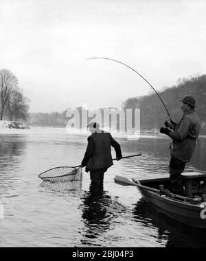 Mettre la pression sur un bon poisson à Kelso, en Écosse Banque D'Images