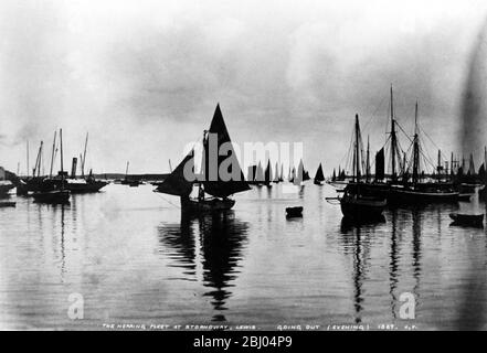 La flotte de hareng à Stornoway, Lewis, sortant dans la soirée - 1367 - Banque D'Images