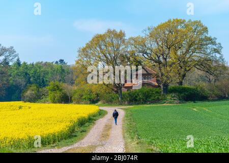 Mausolée du Prince Henry de la Prusse, Hemmelmark près d'Eckernförde, mer Baltique, Paysage Schwansen, Schleswig-Holstein, Allemagne du Nord, Europe centrale Banque D'Images