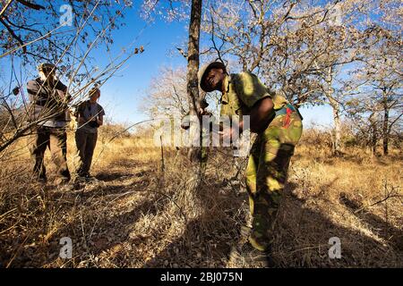 Volontaires avec des patrouilles d'unité anti-braconnage dans la réserve de gibier de Timbavati, Afrique du Sud Banque D'Images