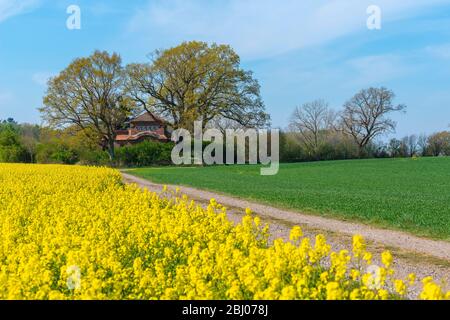 Mausolée du Prince Henry de la Prusse, Hemmelmark près d'Eckernförde, mer Baltique, Paysage Schwansen, Schleswig-Holstein, Allemagne du Nord, Europe centrale Banque D'Images