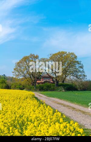 Mausolée du Prince Henry de la Prusse, Hemmelmark près d'Eckernförde, mer Baltique, Paysage Schwansen, Schleswig-Holstein, Allemagne du Nord, Europe centrale Banque D'Images