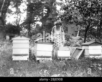 Madame Sylvia Caine , la Star du cinéma , qui a fait des ailes d'abeilles chez elle à Worcester Park . - 1 octobre 1922 Banque D'Images