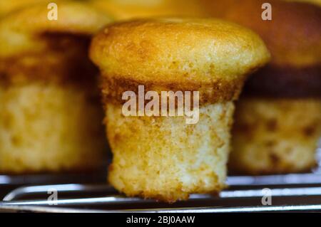 Petits gâteaux de fées sans gluten cuits dans un moule à gâteau grand. Recette disponible avec achat de photos Banque D'Images