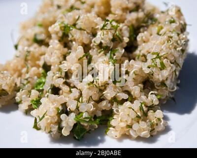 OLYMPUS DIGITAL CAMERA Banque D'Images