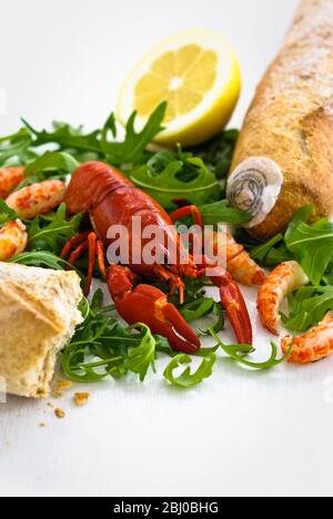 Écrevisses d'eau douce entières cuites sur salade rockt avec queues de écrevisses et baguettes bio complètes fraîches sur fond blanc - Banque D'Images