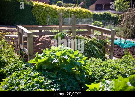 Double bac à compost au milieu d'un jardin de légumes bien entretenu. Kent Royaume-Uni - Banque D'Images