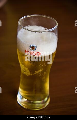 Verre de bière Keo au bar dans le sud de Chypre - Banque D'Images