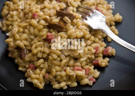 Risotto à l'orge composé de champignons sauvages séchés, de jambon fumé en dés, d'oignons et de bouillon de poulet. - Banque D'Images