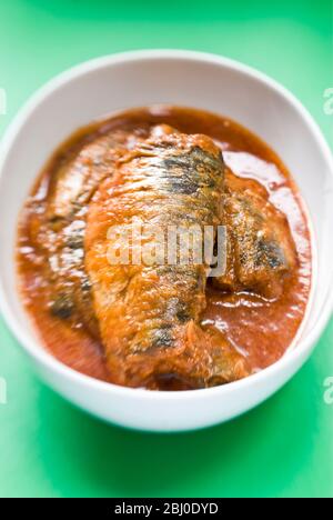 Pivergers en conserve dans la sauce tomate servis dans un bol blanc sur la surface verte - Banque D'Images