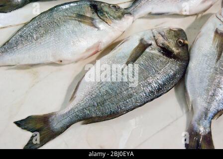 Bream frais sur une dalle de comptoir de poissonnette sur le marché couvert, Limassol, Chypre - Banque D'Images