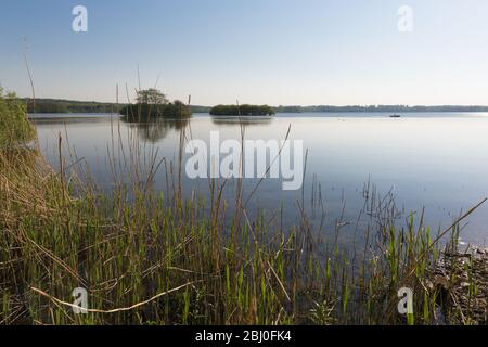 Bateau à ramer sur le lac Dobersdorf , communauté de Schlesen, Östliches Hügelland ou pays de la colline orientale, Schleswig-Holstein, Allemagne du Nord, Europe Banque D'Images