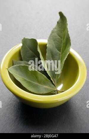 Feuilles de baie avec petit bol sur une surface en plastique sombre. La feuille de baie (Daphni grec, Foi de Dafinin roumain) est la feuille aromatique de plusieurs espèces de la Banque D'Images