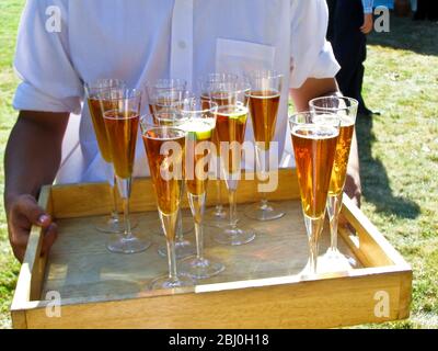 Plateau de cocktails au champagne en été, mariage en plein air - Banque D'Images