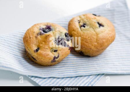 Muffin de bleuets fraîchement cuit sur une serviette bleue à rayures. - Banque D'Images