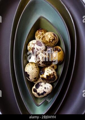 Œufs de Quail dans leurs coquilles dans des bols vert foncé empilés - Banque D'Images