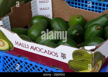 Box of fuerte avocats de Halls, en Afrique du Sud à vendre à Edenbridge, Kent - Banque D'Images