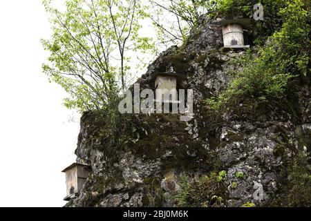 Chongqing, Chongqing, Chine. 28 avril 2020. Village de Dali, ville de gongtan, tujia et comté autonome de miao, ville de youyang, chongqing, à 1200 mètres au-dessus du niveau de la mer, est un bon endroit pour se garder avec des montagnes denses, de l'air frais, des ruisseaux clairs et des fleurs sauvages parfumées.le 25 avril 2020, il zuqiu, un villageois de tujia du village de Dali, a grimpé la falaise pour vérifier le seau d'abeilles sur le rocher. Il a dit que de nombreuses abeilles sauvages ont utilisé pour voler à cette montagne chaque année pour construire des nids et faire du miel dans le fossé de pierre. Il y a quelques années, Sichuanà¯ÂμÅ'CHINA-ago, quelqu'un a mis en place une ruche sur un pic de pierre et a rassemblé doz Banque D'Images