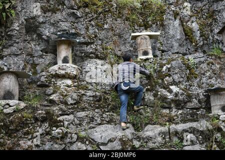 Chongqing, Chongqing, Chine. 28 avril 2020. Village de Dali, ville de gongtan, tujia et comté autonome de miao, ville de youyang, chongqing, à 1200 mètres au-dessus du niveau de la mer, est un bon endroit pour se garder avec des montagnes denses, de l'air frais, des ruisseaux clairs et des fleurs sauvages parfumées.le 25 avril 2020, il zuqiu, un villageois de tujia du village de Dali, a grimpé la falaise pour vérifier le seau d'abeilles sur le rocher. Il a dit que de nombreuses abeilles sauvages ont utilisé pour voler à cette montagne chaque année pour construire des nids et faire du miel dans le fossé de pierre. Il y a quelques années, Sichuanà¯ÂμÅ'CHINA-ago, quelqu'un a mis en place une ruche sur un pic de pierre et a rassemblé doz Banque D'Images