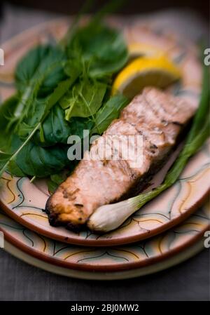 Filet de saumon grillé avec salade d'herbes, de chauve-tout et de citron sur une assiette rustique - Banque D'Images