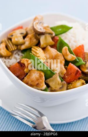 Plat léger et sain de morceaux de poulet sautés avec légumes et noix de cajou dans une sauce de style chinois sur le riz ordinaire, servi dans un bol blanc simple. SH Banque D'Images