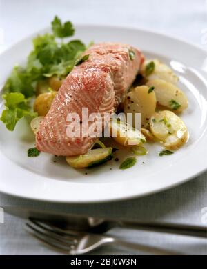 Filet de saumon grillé sur une nouvelle salade de pommes de terre herbeuse, avec salade verte, garnie de zeste de citron. - Banque D'Images