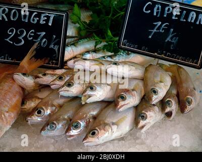 Poisson frais à vendre sur le marché couvert de Menton, au sud de la France - Banque D'Images