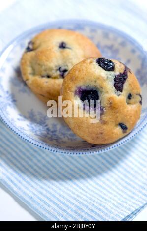 Muffin de bleuets fraîchement cuit sur une serviette bleue à rayures avec chine bleue et blanche - Banque D'Images