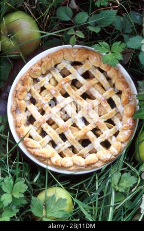 Tarte aux pommes anglaise classique avec treillis de pâtisserie et bord torsadé assis sous pommier avec pommes venfall tout autour - Banque D'Images