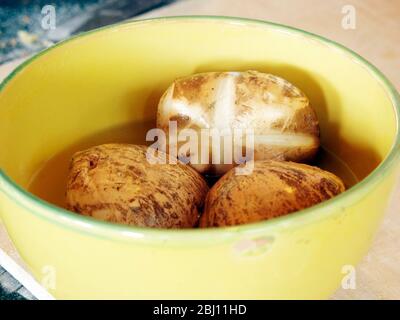 Fromage mozzarella italien à base de buffle fumé dans un bol jaune - Banque D'Images
