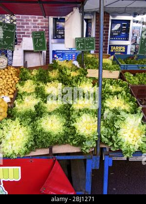 Marché français avec laitue escarale. France du Nord, Hesdin - Banque D'Images