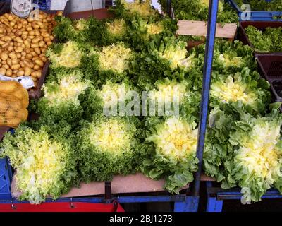 Marché français avec laitue escarale. France du Nord, Hesdin - Banque D'Images