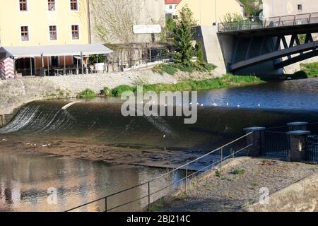 Die Neisse bei Görlitz führt Niedrigwasser, es fliesst kaum noch Wasser das Wehr herunter. Görlitz, 27.04.2020 Banque D'Images