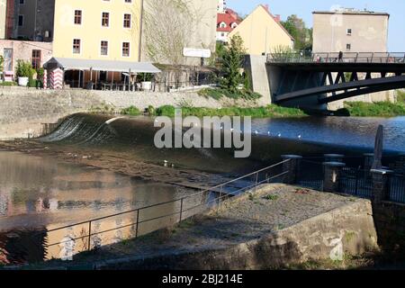 Die Neisse bei Görlitz führt Niedrigwasser, es fliesst kaum noch Wasser das Wehr herunter. Görlitz, 27.04.2020 Banque D'Images