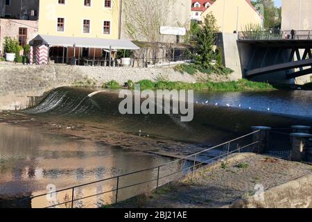 Die Neisse bei Görlitz führt Niedrigwasser, es fliesst kaum noch Wasser das Wehr herunter. Görlitz, 27.04.2020 Banque D'Images