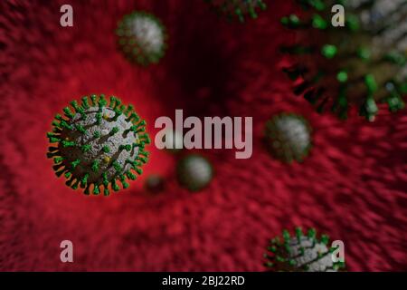 Illustration médicale, cellules de virus de la couronne flottante à l'intérieur du corps humain. Banque D'Images