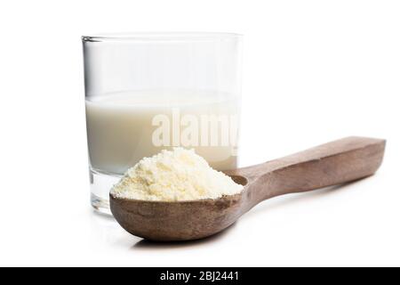 Lait en poudre à la graisse complète dans une cuillère en bois isolée sur blanc Banque D'Images