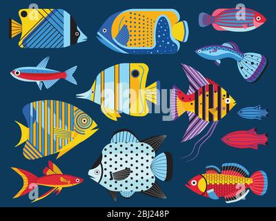 Des poissons d'aquarium tropicaux colorés sont à plat Illustration de Vecteur